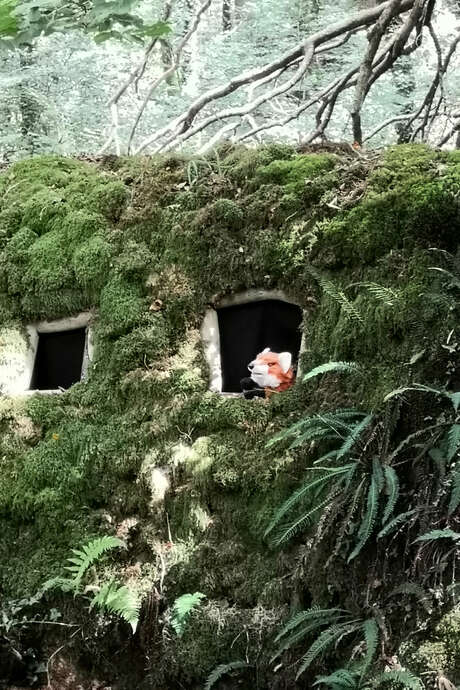 Rando "Des Petits Animaux"