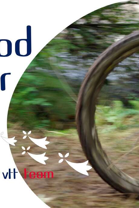 Randos VTT : La Glénan