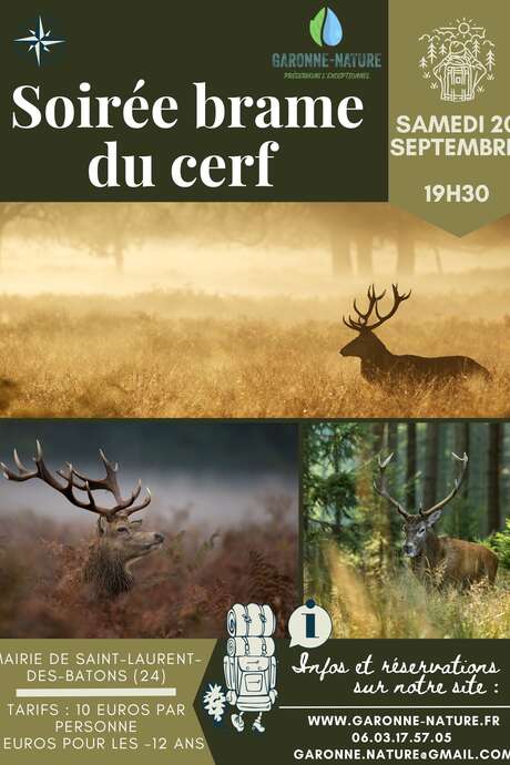 Deer rut evening
