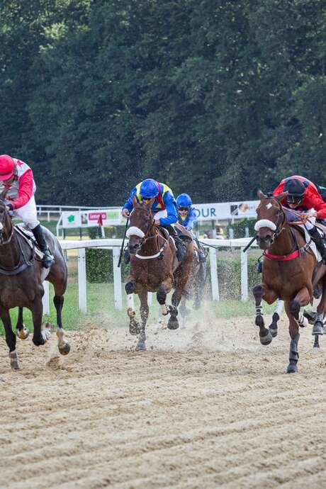Horse races