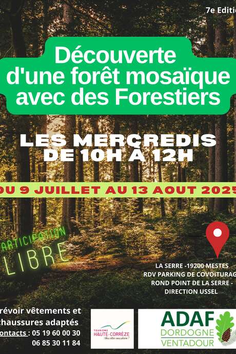 Meetings in the forest of Correze