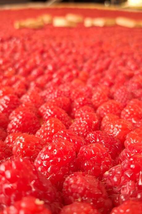 Raspberry Festival