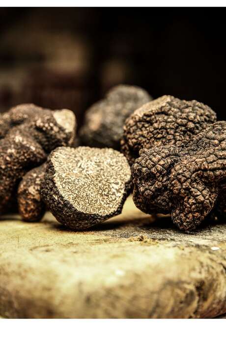 Truffle farming meetings - January 28, 2026 - Sorges and Ligueux in Périgord