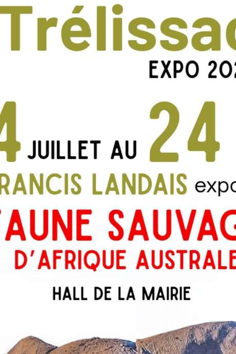 Photo exhibition: Southern African wildlife