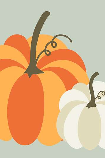 Fête de la citrouille