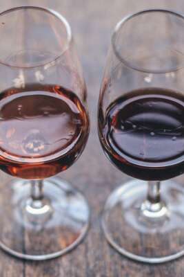 Bordin Winery - Wine tasting