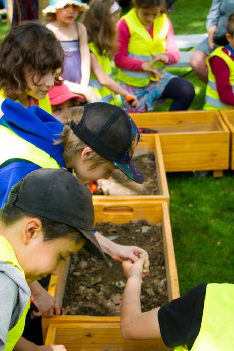 Archéologues en herbe