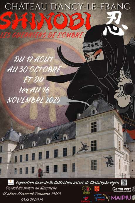 Shinobi : les guerriers de l'ombre