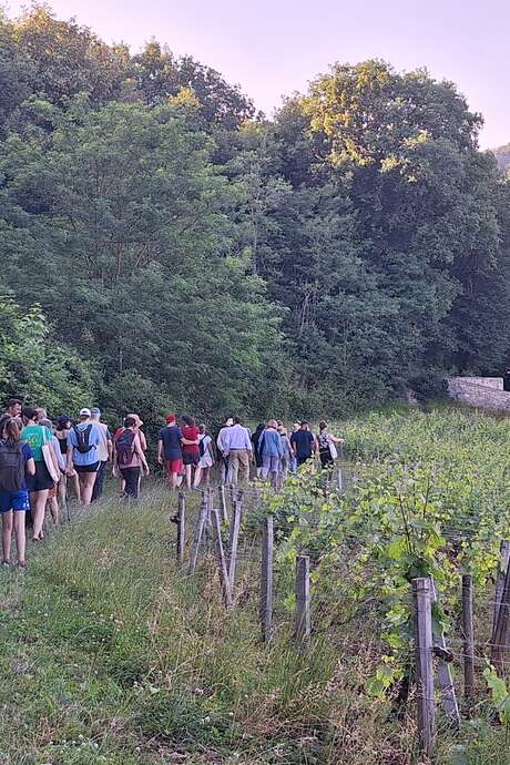 Journées Européennes du Patrimoine dans les Climats - Patrimoine mondial