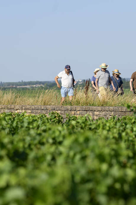 Patrimoine mondial en fête