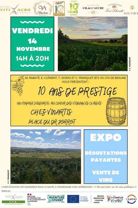 10 ans de Prestige : un voyage sensoriel au cœur des vignobles classés chez Vinartis