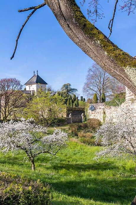 Visite guidée des remparts :les arbres sur les remparts
