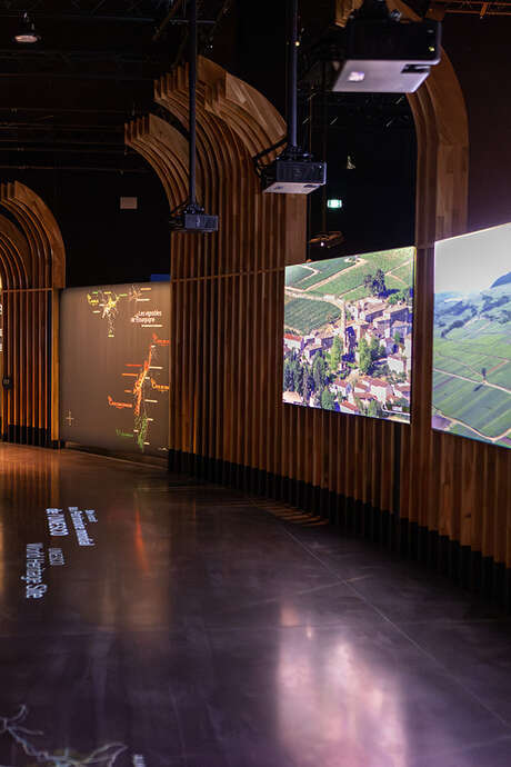 Vignobles en scène à la Cité des Climats et vins à Beaune