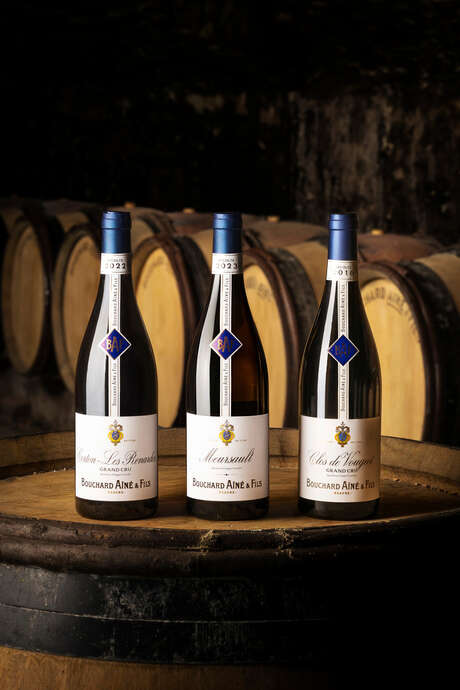Bouchard Ainé & Fils - Dégustation spéciale Vente des Vins 2025 (9 vins dont 3 Grands Crus)
