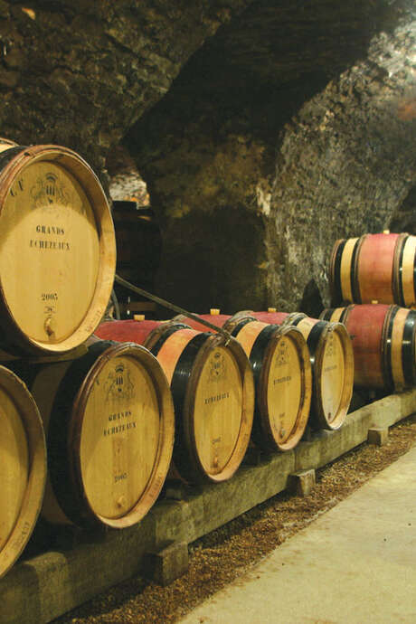 Domaine Henri de Villamont - Vente des vins 2025 - 10 vins, 10 émotions au cœur des caves