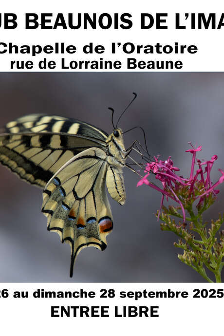 EXPOSITION  PHOTOS