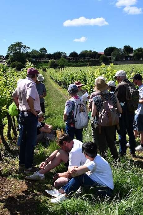 Festival de Bach à Bacchus - Visite théâtralisée  "La Clé des sols - A la recherche du pinot perdu"