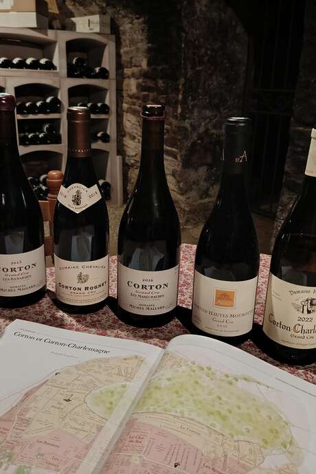 All about Corton