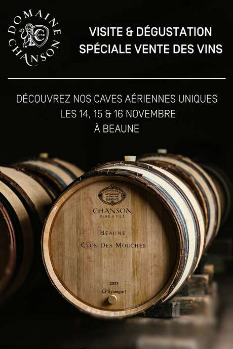 Domaine Chanson - Visite des caves & dégustation spéciale Vente des Vins 2025 de 6 grands vins