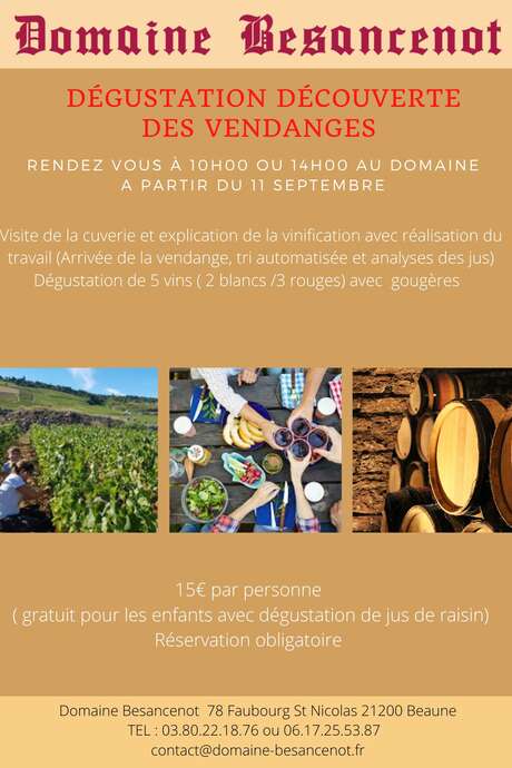 Dégustation découverte des vendanges Dégustation découverte des vendanges