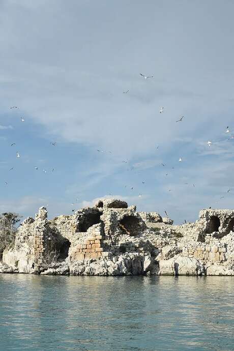 Conférence "Kubadabad - Le palais du sultan Alaeddin Keykubad Ier"