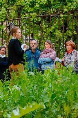 Hôtel-Dieu - Hospices de Beaune
Programmation 2025 - HUMANITÉ
Lancement de saison