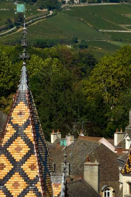 Hôtel-Dieu - Hospices de Beaune
Programmation 2025 - HUMANITÉ
Patrimoine vivant