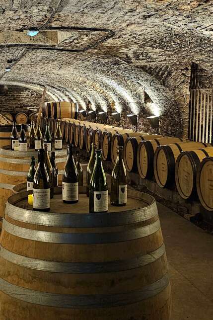 Hôtel-Dieu - Hospices de Beaune 
2026 - MOUVEMENT(S)
[MON HÔTEL-DIEU] Un livre, un vin, un histoire : raconter le territoire bourguignon