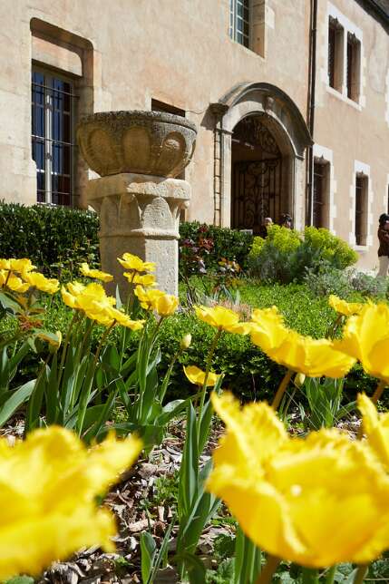 Hôtel-Dieu - Hospices de Beaune
2026 - MOUVEMENT(S)
[ATELIER GUSTATIF] Saveurs du soin