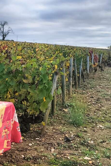 MISSION VIGNERON l'âme d'un terroir, le défi entre vos mains