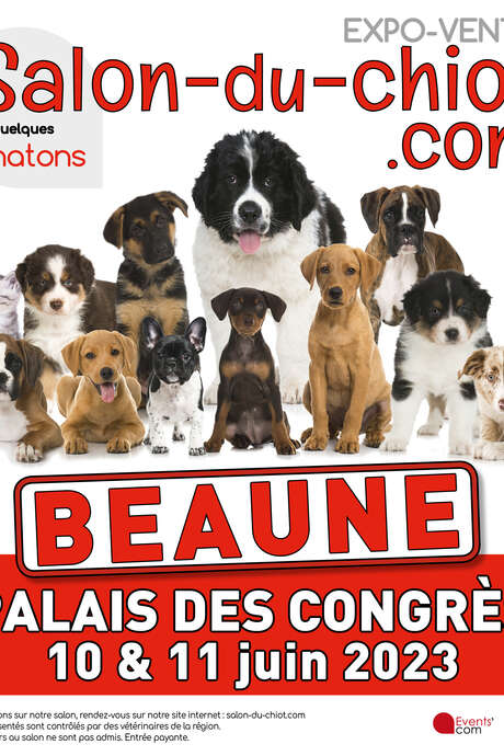 Le salon du chiot