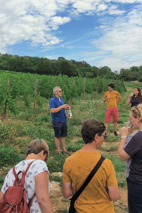 Après les vendanges, tous en cuverie! Après les vendanges, tous en cuverie!