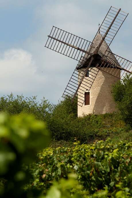 Visite - Un moulin dans les vignes