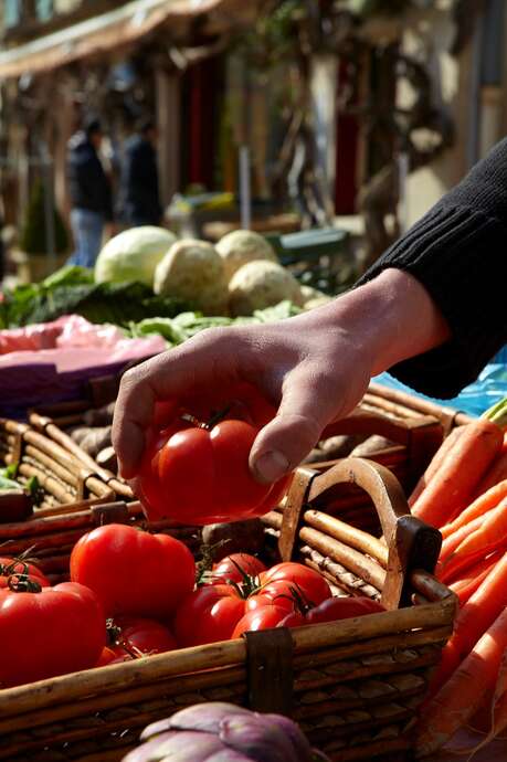 Marché de Santenay