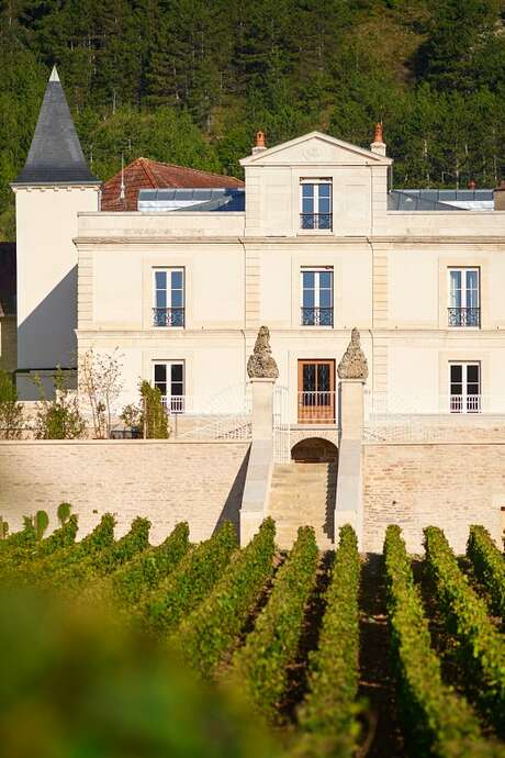 Vignobles en scène : rendez-vous « Vins et Théâtre » au Château de Saint Aubin