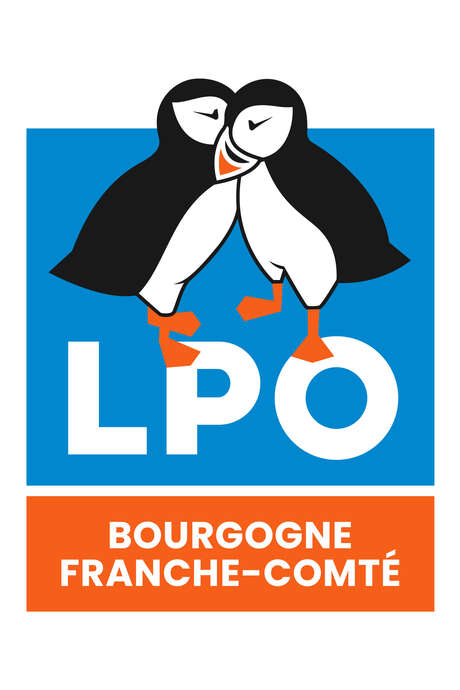 Atelier « fresque de la biodiversité » à Beaune