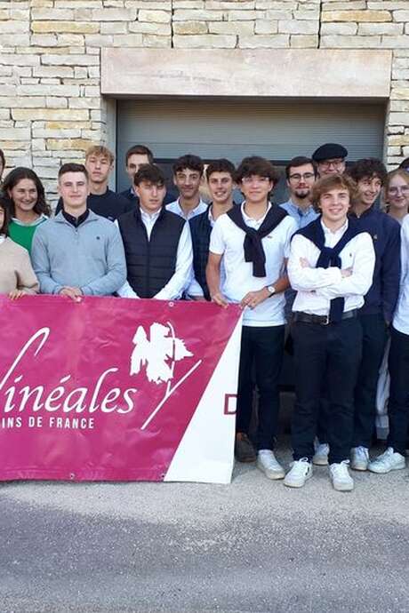 Les Vinéales - 20° édition