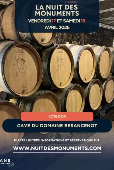 Odyssée viticole nocturne au Domaine Besancenot