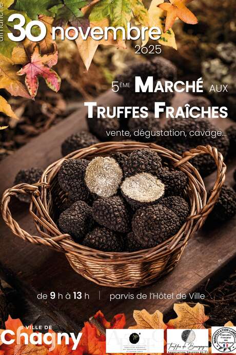 Marché aux Truffes