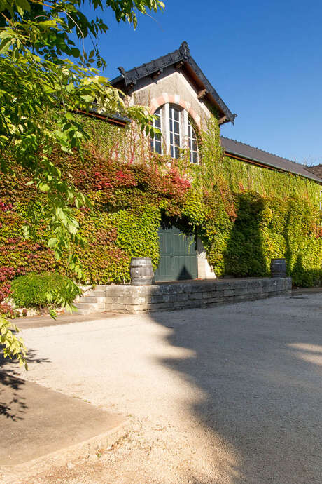 Portes ouvertes au Domaine Albert Morot