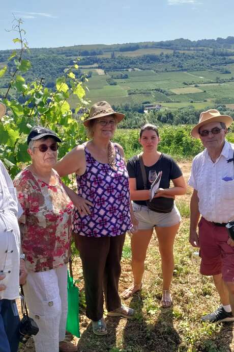 Les Climats vus des Hautes Cotes