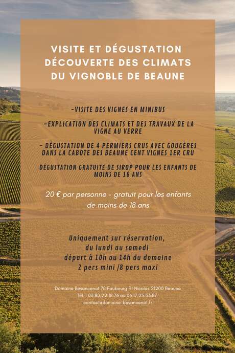 Dégustation découverte des Climats de Beaune