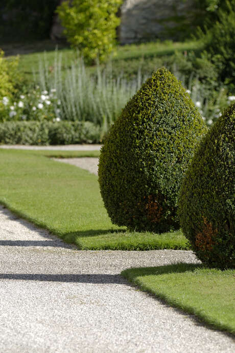 Rendez-vous aux jardins à l'abbaye de Fontenay