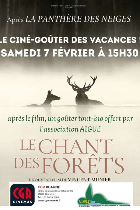 Projection : "Le chant des forêts"