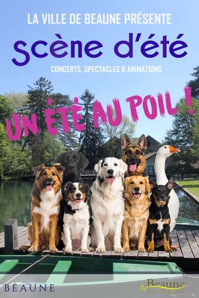 Festival Scène d'été