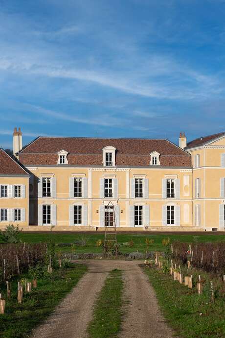 Les saveurs du Château de Meursault