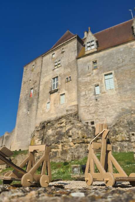 Atelier : fabrique ta catapulte !