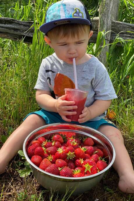 Aux fruits de la colline