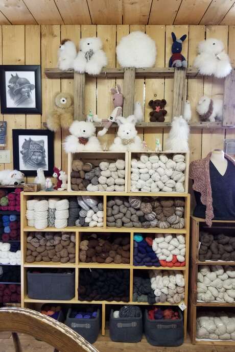 Boutique Les Alpagas du Cap