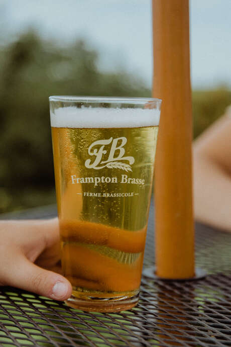 Frampton Brasse